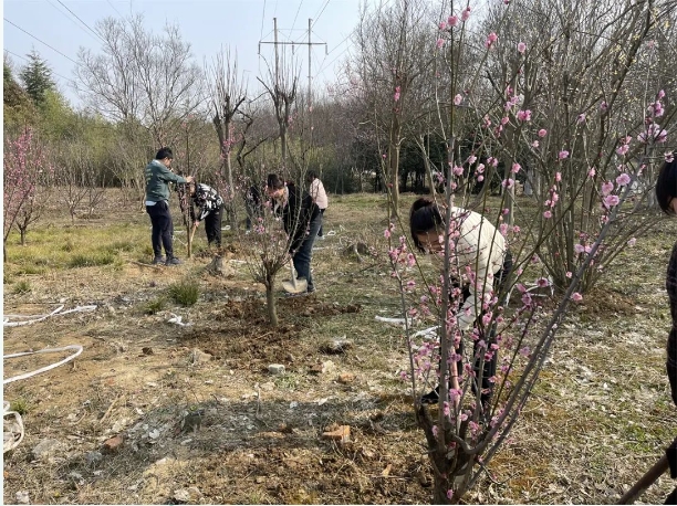 微信截圖_20240313114206.png